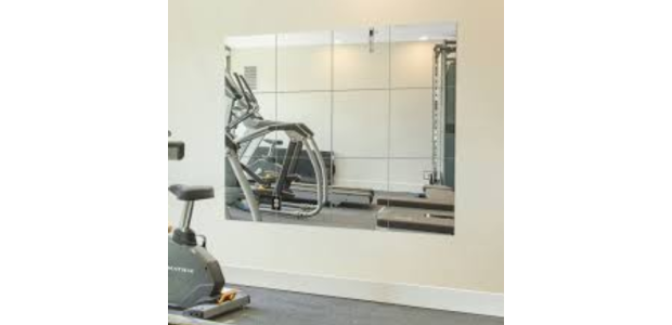 Ruomeng Home Gym Mirrors for Use