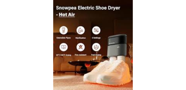 Effective and Handy Snowpea Shoe Dryer